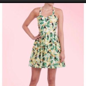 Sugarhill Boutique Vintage Toucan Dress